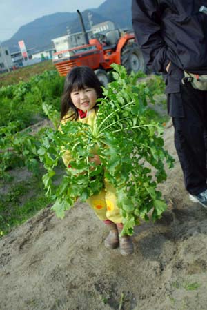 syuu034