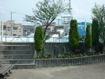 p1030110 p1030110