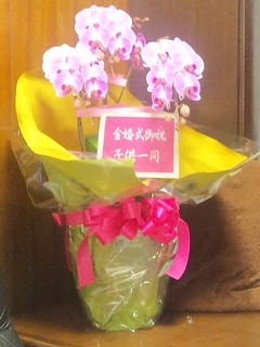 2011-11-02 2011-11-02
