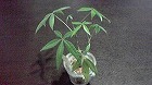 2011-11-091 2011-11-091