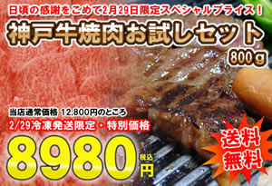 �_�ˋ��ē��Z�b�g