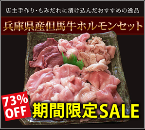 2月限定セール！73％ＯＦＦ！！ホルモンセット