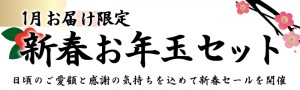 【1月お届け限定】新春お年玉・神戸牛ステーキセット