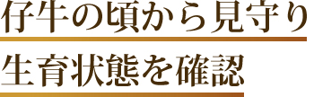 仔牛の頃から見守り生育状態を確認