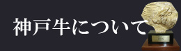 神戸牛について