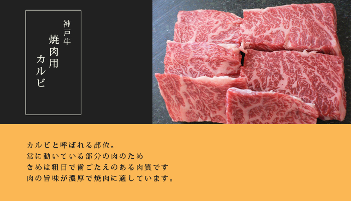 _ˋēp Jr