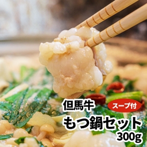 AnZbg300g