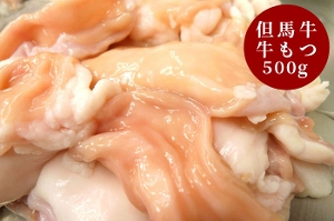 @AnZbg500g ݖX[vtyⓀz